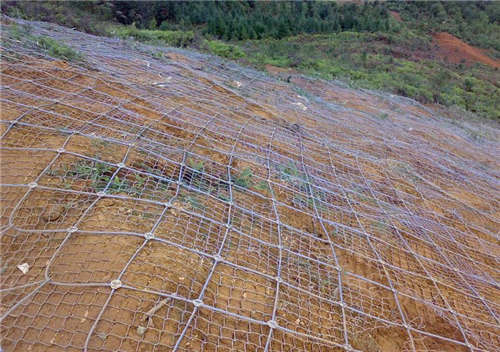 ���ӷ��o�W(w��ng)�l(f��)�]߅�·��o����