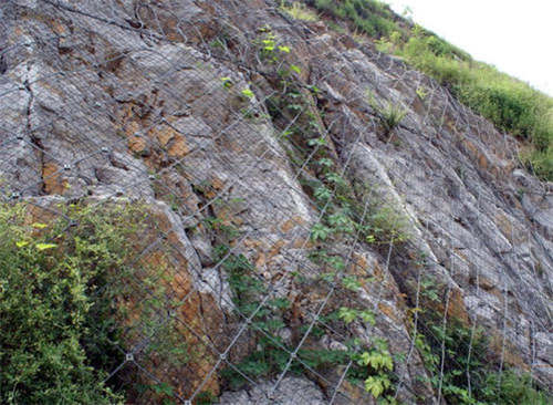 ����߅�·��o(h��)�W(w��ng)�m����ʲô����