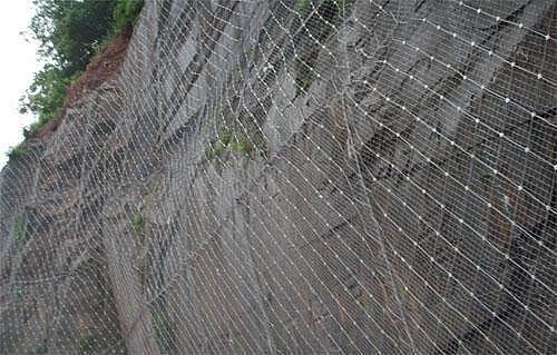 ����(d��ng)߅�·��o(h��)�W(w��ng)�ͱ���(d��ng)߅�·��o(h��)�W(w��ng)������ʲô...