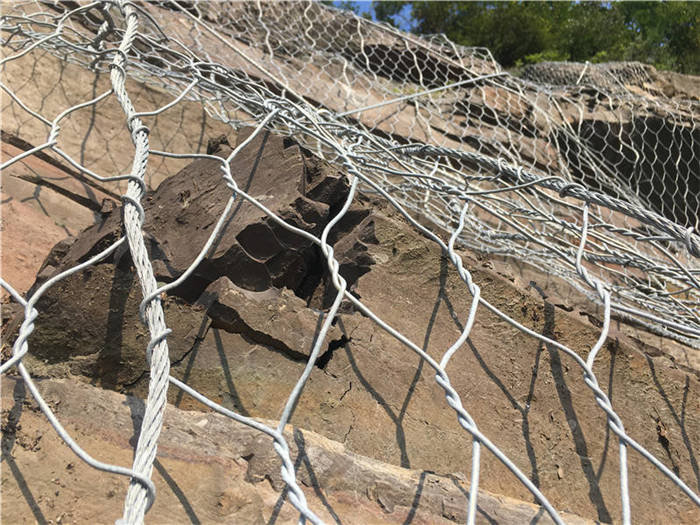 ����(d��ng)�ߏ�(qi��ng)�ӽ�W(w��ng)