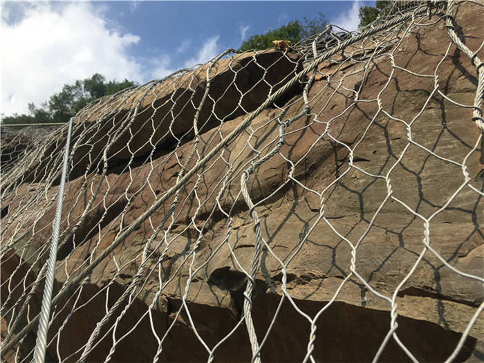 ����(d��ng)�ߏ�(qi��ng)�ӽ�W(w��ng)