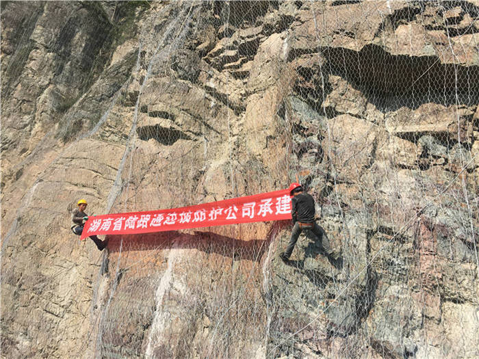 ����(d��ng)�ߏ�(qi��ng)�ӽ�W(w��ng)