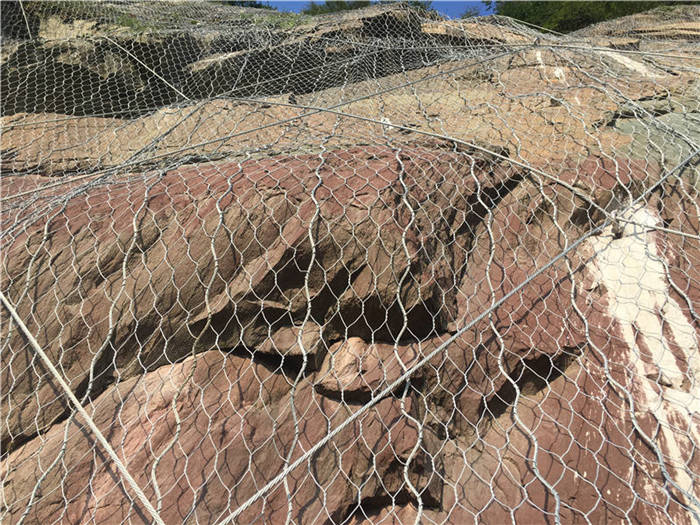 ����(d��ng)�ߏ�(qi��ng)�ӽ�W(w��ng)