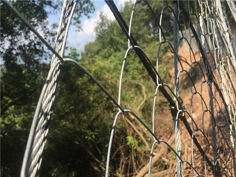 ����(d��ng)���o(h��)�W(w��ng)