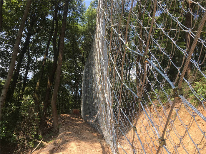 ����(d��ng)���o(h��)�W(w��ng)