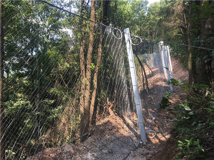 ����(d��ng)���o(h��)�W(w��ng)