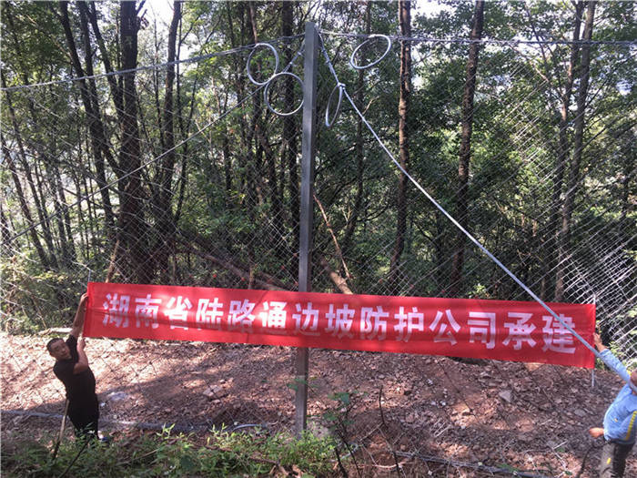 ����(d��ng)���o(h��)�W(w��ng)