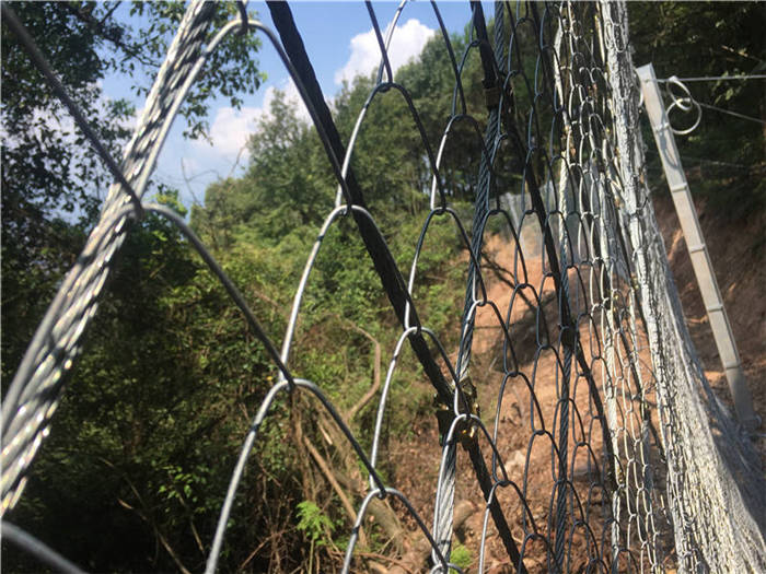 ����(d��ng)���o(h��)�W(w��ng)