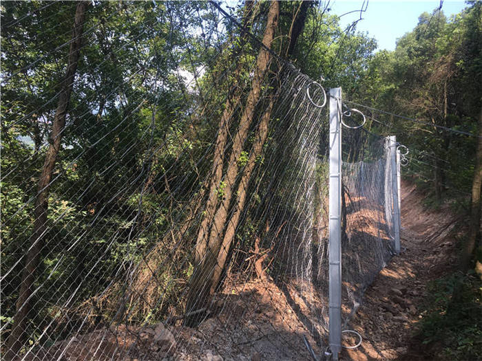 ����(d��ng)���o(h��)�W(w��ng)