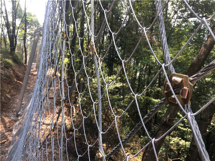 ����(d��ng)���o(h��)�W(w��ng)